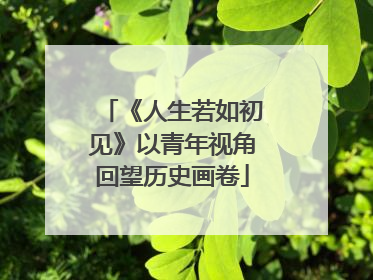 《人生若如初见》以青年视角回望历史画卷