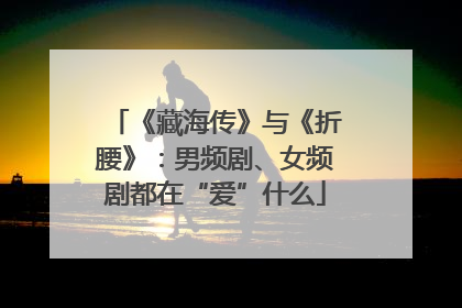 《藏海传》与《折腰》：男频剧、女频剧都在“爱”什么