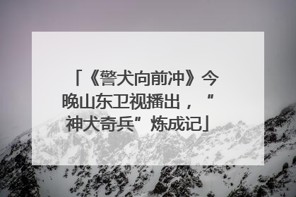 《警犬向前冲》今晚山东卫视播出，“神犬奇兵”炼成记