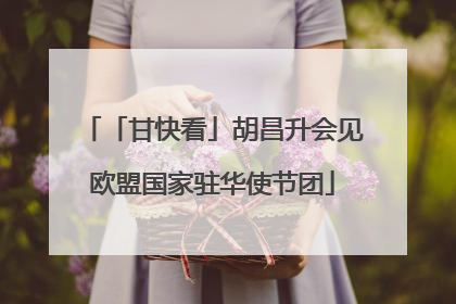 「甘快看」胡昌升会见欧盟国家驻华使节团