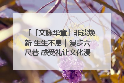 「文脉华章」非遗焕新 生生不息｜漫步六尺巷 感受礼让文化浸润的“巷”往生活