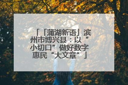 「蒲湖新语」滨州市博兴县：以“小切口”做好数字惠民“大文章”