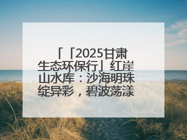 「2025甘肃生态环保行」红崖山水库：沙海明珠绽异彩，碧波荡漾润绿洲