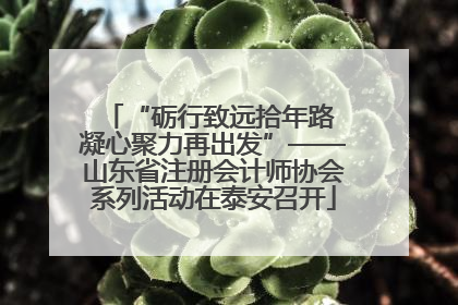 “砺行致远拾年路 凝心聚力再出发”——山东省注册会计师协会系列活动在泰安召开