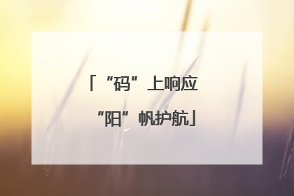 “码”上响应 “阳”帆护航