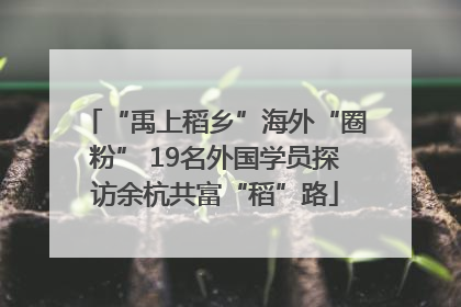 “禹上稻乡”海外“圈粉” 19名外国学员探访余杭共富“稻”路