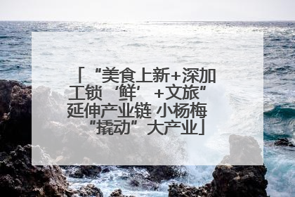“美食上新+深加工锁‘鲜’+文旅”延伸产业链 小杨梅“撬动”大产业