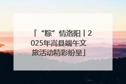 “粽”情洛阳丨2025年嵩县端午文旅活动精彩纷呈