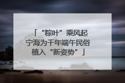 “粽叶”乘风起 宁海为千年端午民俗植入“新姿势”