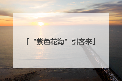 “紫色花海”引客来
