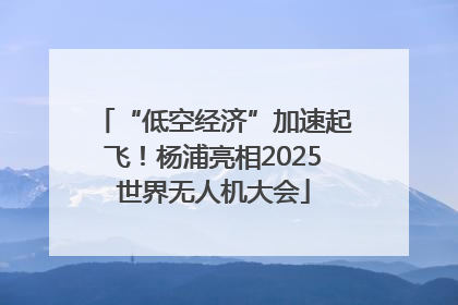“低空经济”加速起飞！杨浦亮相2025世界无人机大会
