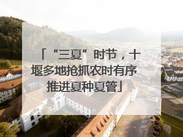 “三夏”时节，十堰多地抢抓农时有序推进夏种夏管