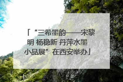 “三希墨韵——宋黎明 杨稳新 丹萍水墨小品展”在西安举办
