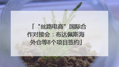 “丝路电商”国际合作对接会：布达佩斯海外仓等8个项目签约
