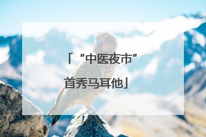 “中医夜市”首秀马耳他