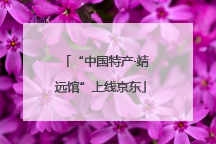 “中国特产·靖远馆”上线京东