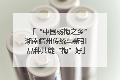 “中国杨梅之乡”湖南靖州传统与新引品种共绽“梅”好