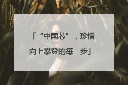 “中国芯”，珍惜向上攀登的每一步
