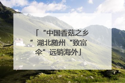 “中国香菇之乡”湖北随州“致富伞”远销海外
