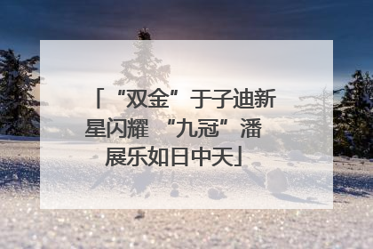 “双金”于子迪新星闪耀 “九冠”潘展乐如日中天