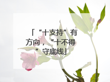 “十支持”有方向，“十不得”守底线