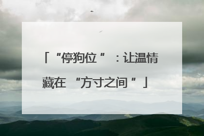 “停狗位 ”：让温情藏在 “方寸之间 ”