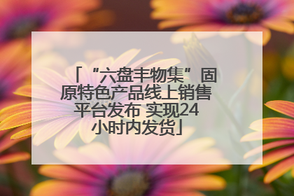 “六盘丰物集”固原特色产品线上销售平台发布 实现24小时内发货