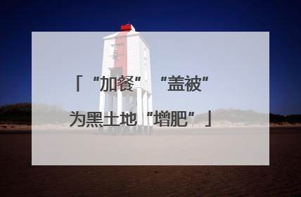 “加餐”“盖被” 为黑土地“增肥”