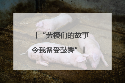“劳模们的故事令我备受鼓舞”
