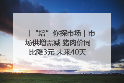 “培”你探市场｜市场供增需减 猪肉价同比降3元 未来40天便宜猪肉敞开吃