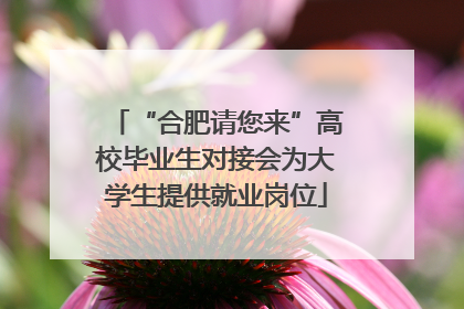“合肥请您来”高校毕业生对接会为大学生提供就业岗位