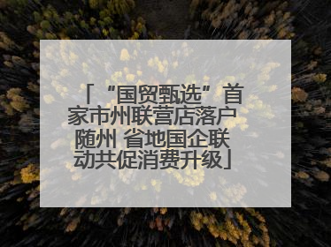“国贸甄选”首家市州联营店落户随州 省地国企联动共促消费升级