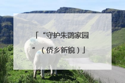 “守护朱鹮家园”（侨乡新貌）
