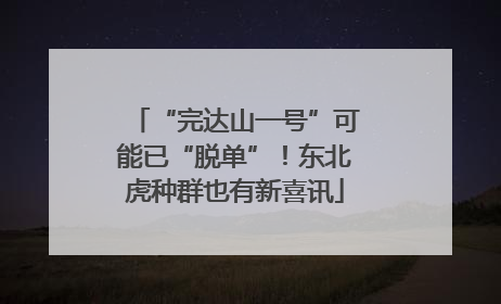 “完达山一号”可能已“脱单”！东北虎种群也有新喜讯