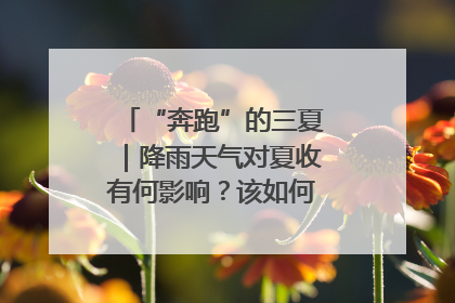 “奔跑”的三夏｜降雨天气对夏收有何影响？该如何防范？一文了解