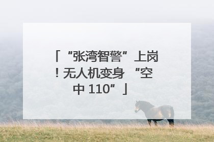 “张湾智警”上岗！无人机变身 “空中 110”