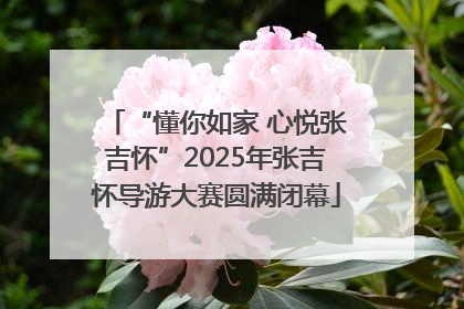 “懂你如家 心悦张吉怀”2025年张吉怀导游大赛圆满闭幕