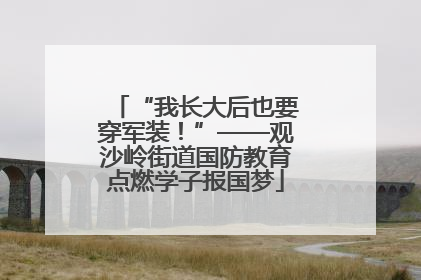 “我长大后也要穿军装！”——观沙岭街道国防教育点燃学子报国梦
