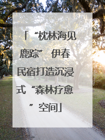 “枕林海见鹿踪” 伊春民宿打造沉浸式“森林疗愈”空间