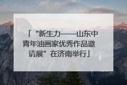 “新生力——山东中青年油画家优秀作品邀请展”在济南举行