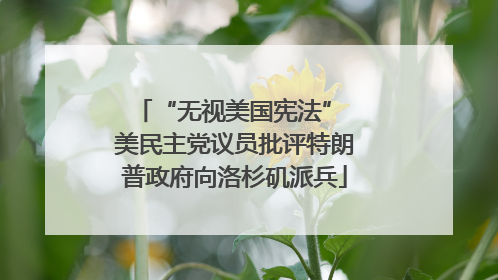 “无视美国宪法” 美民主党议员批评特朗普政府向洛杉矶派兵