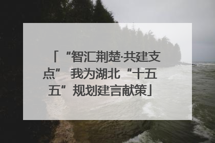 “智汇荆楚·共建支点” 我为湖北“十五五”规划建言献策