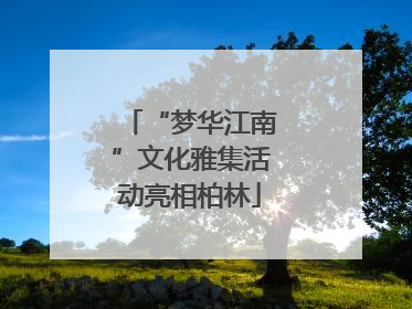 “梦华江南”文化雅集活动亮相柏林