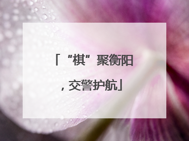 “棋”聚衡阳，交警护航