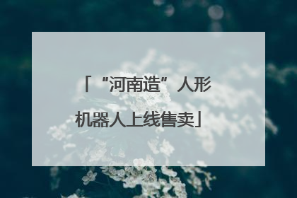 “河南造”人形机器人上线售卖