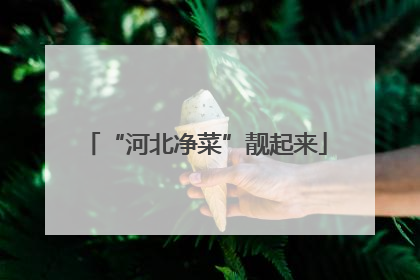 “河北净菜”靓起来
