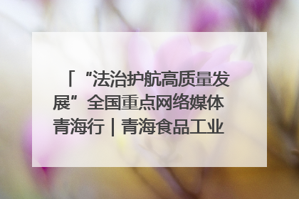 “法治护航高质量发展”全国重点网络媒体青海行｜青海食品工业协会：架起“青字号”美食的产业化桥梁