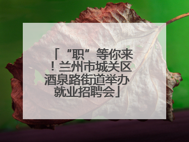 “职”等你来！兰州市城关区酒泉路街道举办就业招聘会