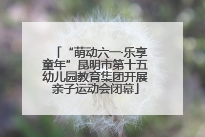 “萌动六一·乐享童年”昆明市第十五幼儿园教育集团开展亲子运动会闭幕