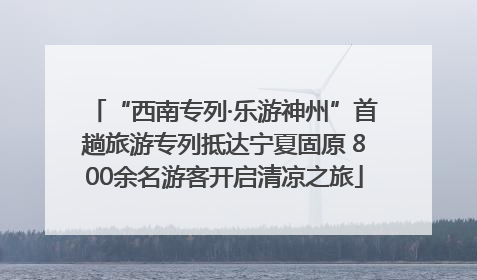 “西南专列·乐游神州”首趟旅游专列抵达宁夏固原 800余名游客开启清凉之旅